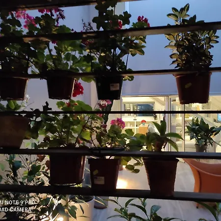 Y Bano En Planta Independiente En Centro De Homestay