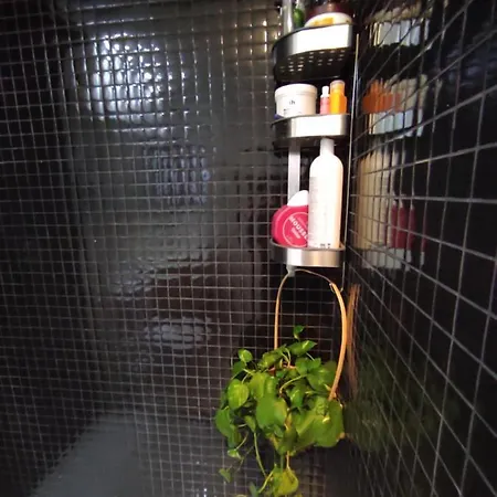 Y Bano En Planta Independiente En Centro De منزل للإقامة إشبيلية